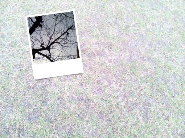 fot. SwiatAndroid.pl